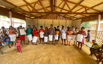 Water Filter Distribution in Kaingang and Aldeia Guajayvi Communities